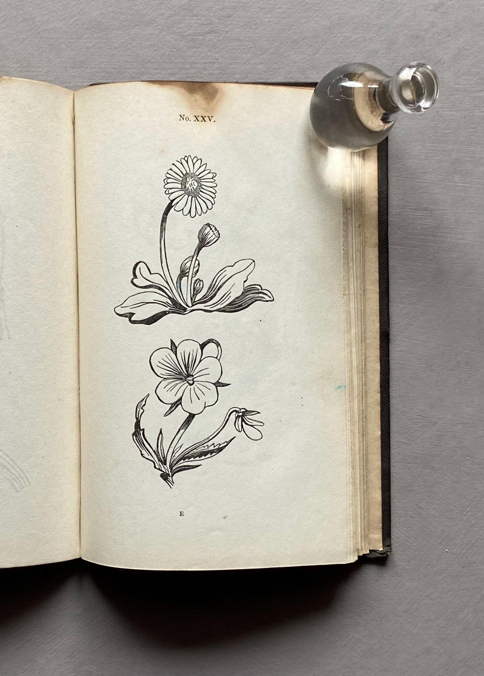 A First Book of Drawing by William and Robert Chambers. 48 Drawings To Copy and Colour. Published in 1845. Size: 17.5 x 11 cms.