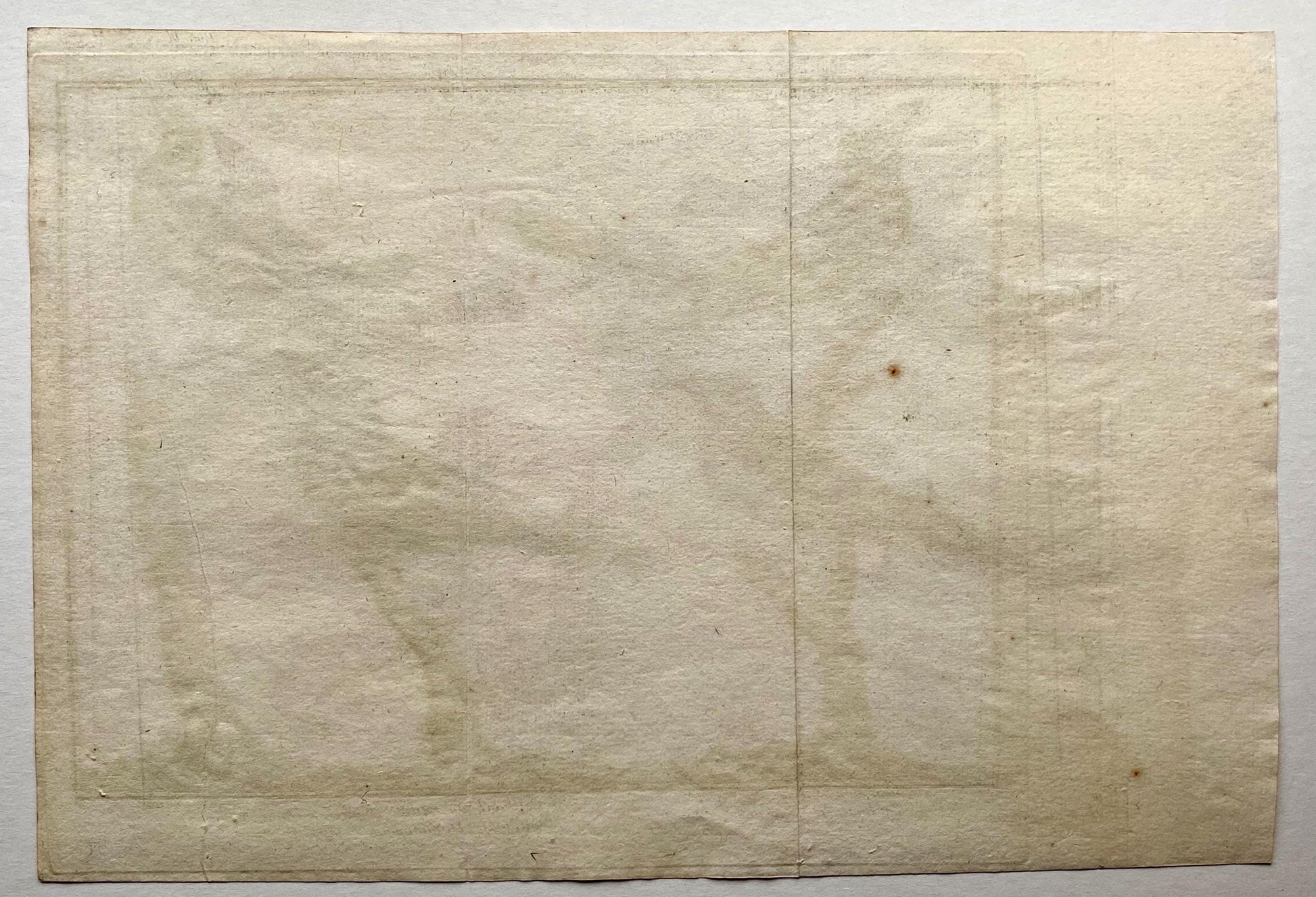 A Copper Plate Engraving. Four Types of Sparrow. French. By Francois-Nicholas Martinet. Hand coloured. Dated 1770. 25 x 37 cms.