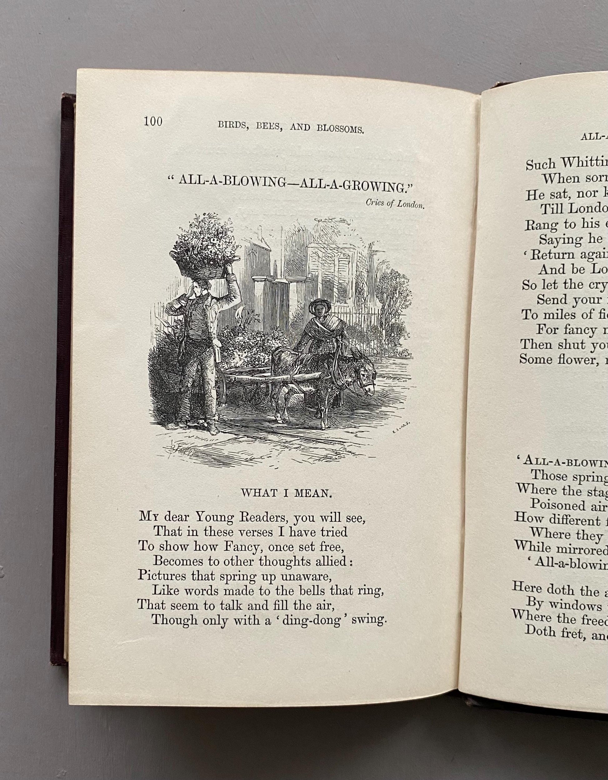 Birds, Bees, and Blossoms. Original Poems For Children. J & C Black. 1858.