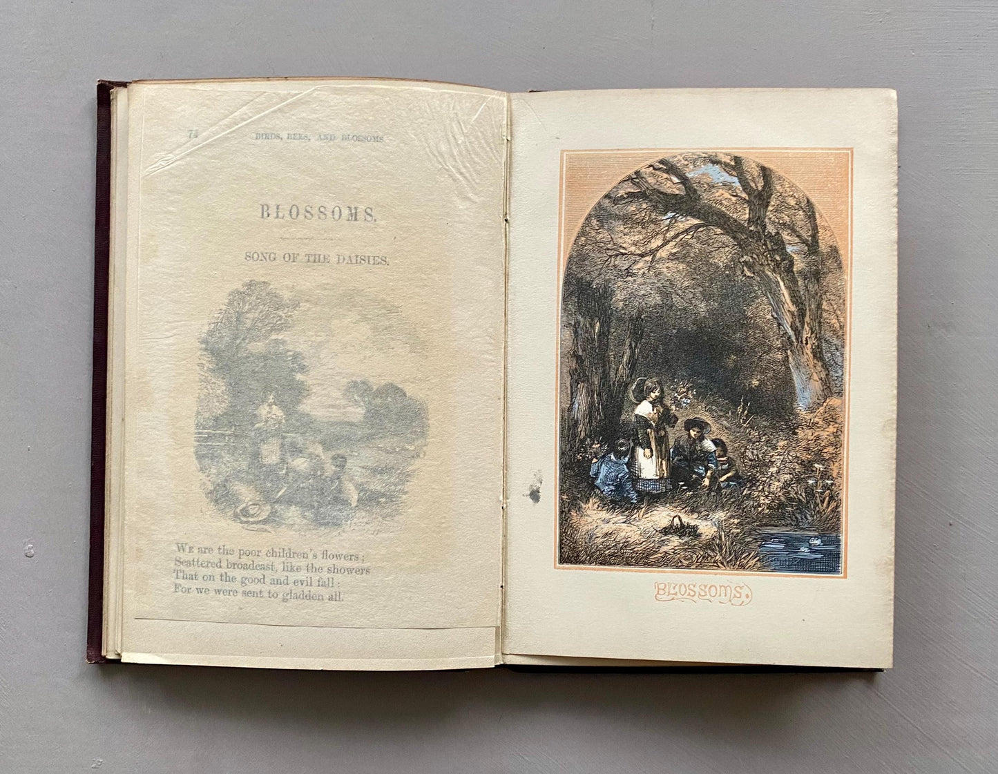 Birds, Bees, and Blossoms. Original Poems For Children. J & C Black. 1858.
