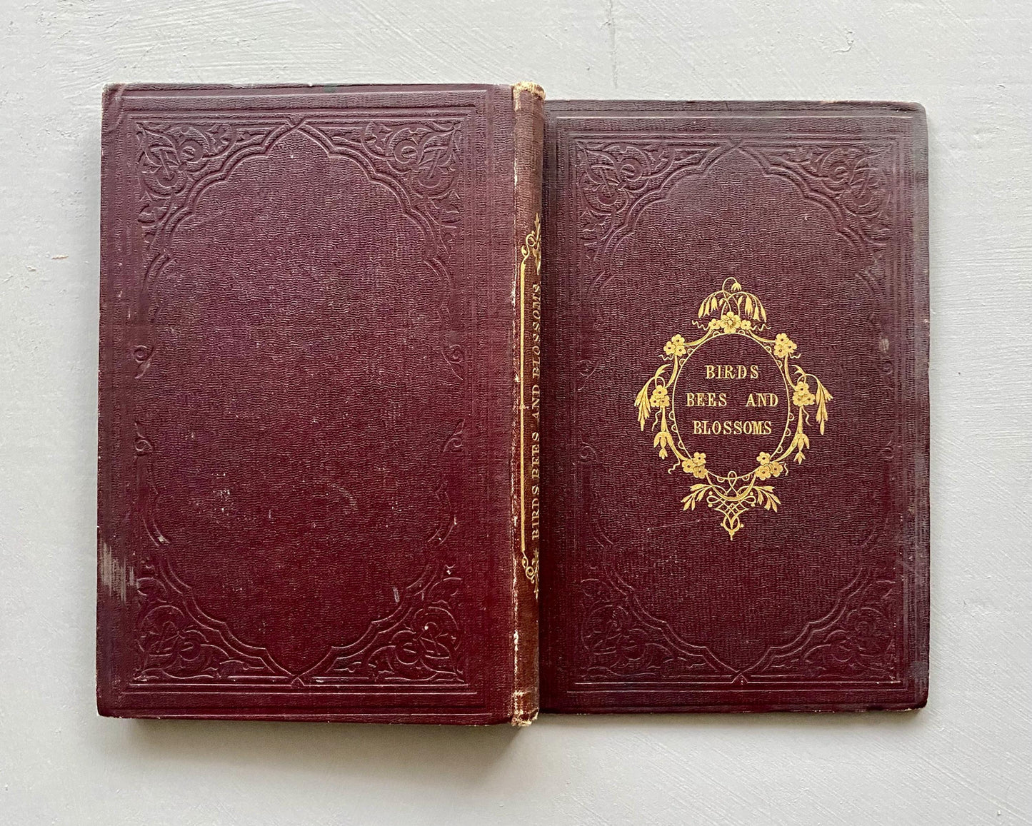 Birds, Bees, and Blossoms. Original Poems For Children. J & C Black. 1858.