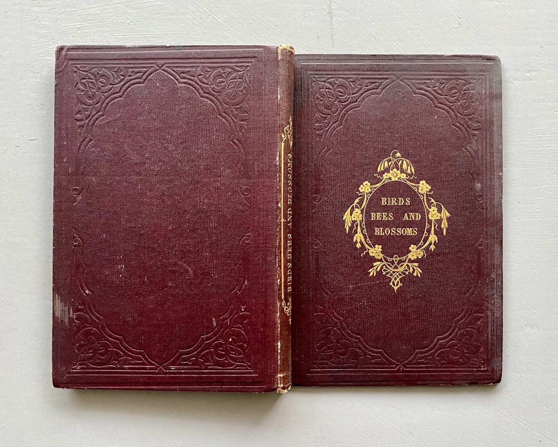 Birds, Bees, and Blossoms. Original Poems For Children. J & C Black. 1858.