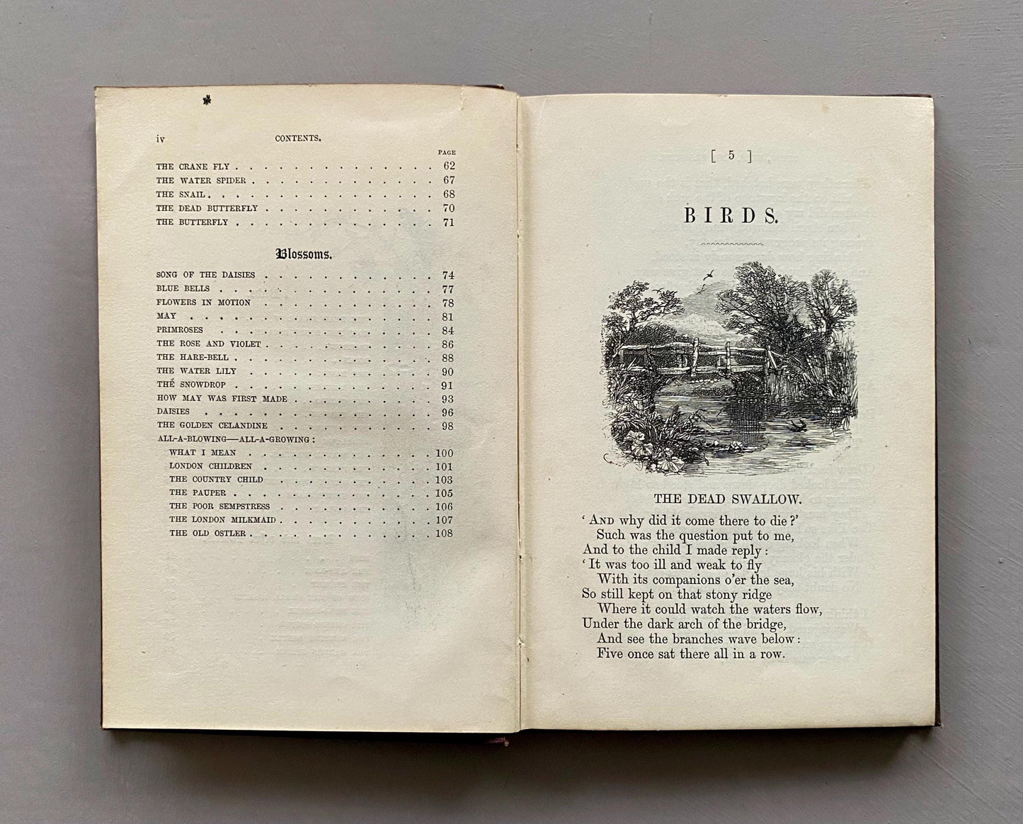 Birds, Bees, and Blossoms. Original Poems For Children. J & C Black. 1858.