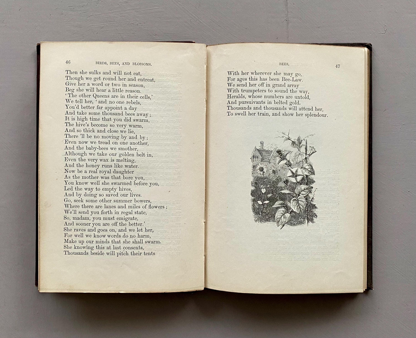 Birds, Bees, and Blossoms. Original Poems For Children. J & C Black. 1858.
