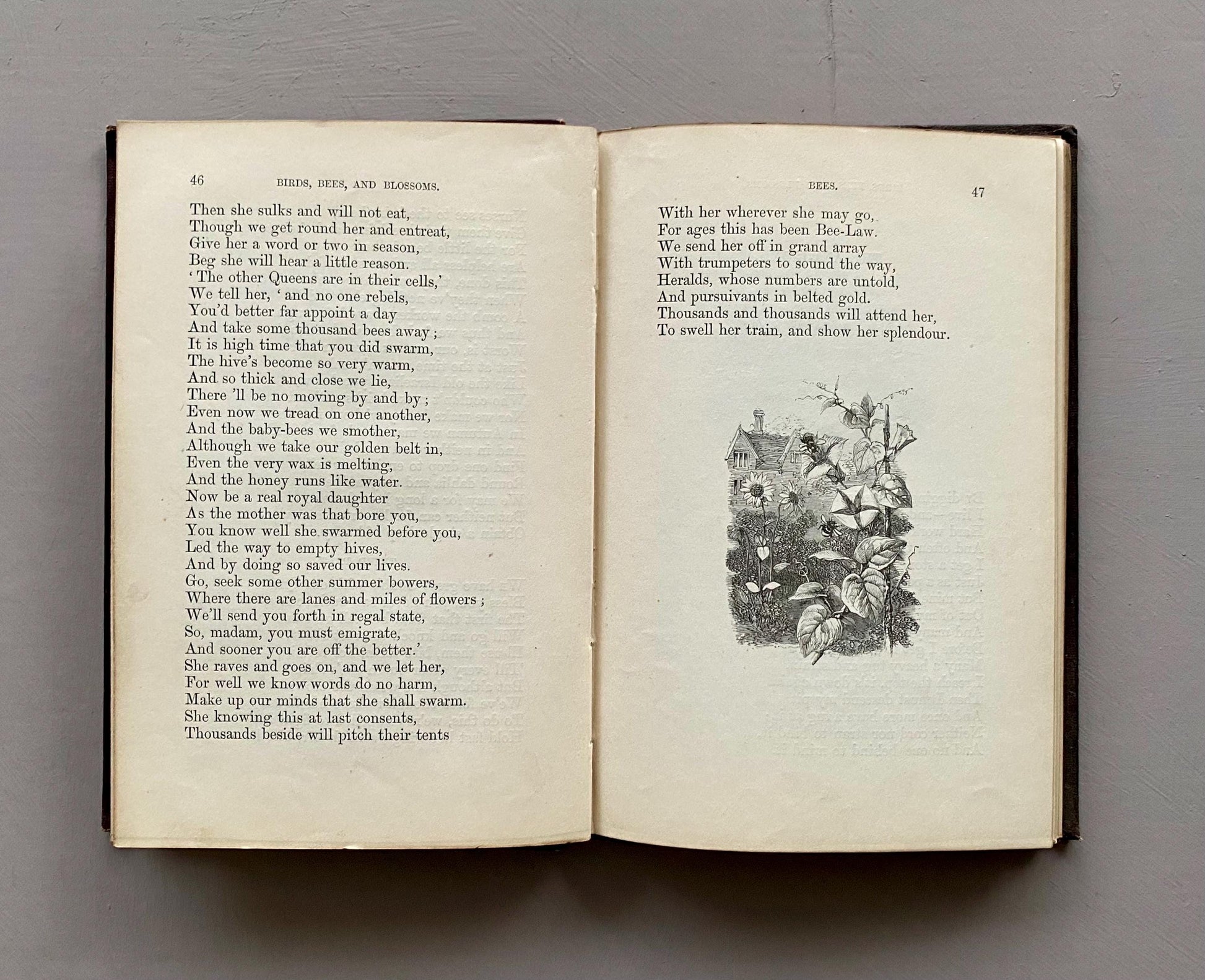 Birds, Bees, and Blossoms. Original Poems For Children. J & C Black. 1858.