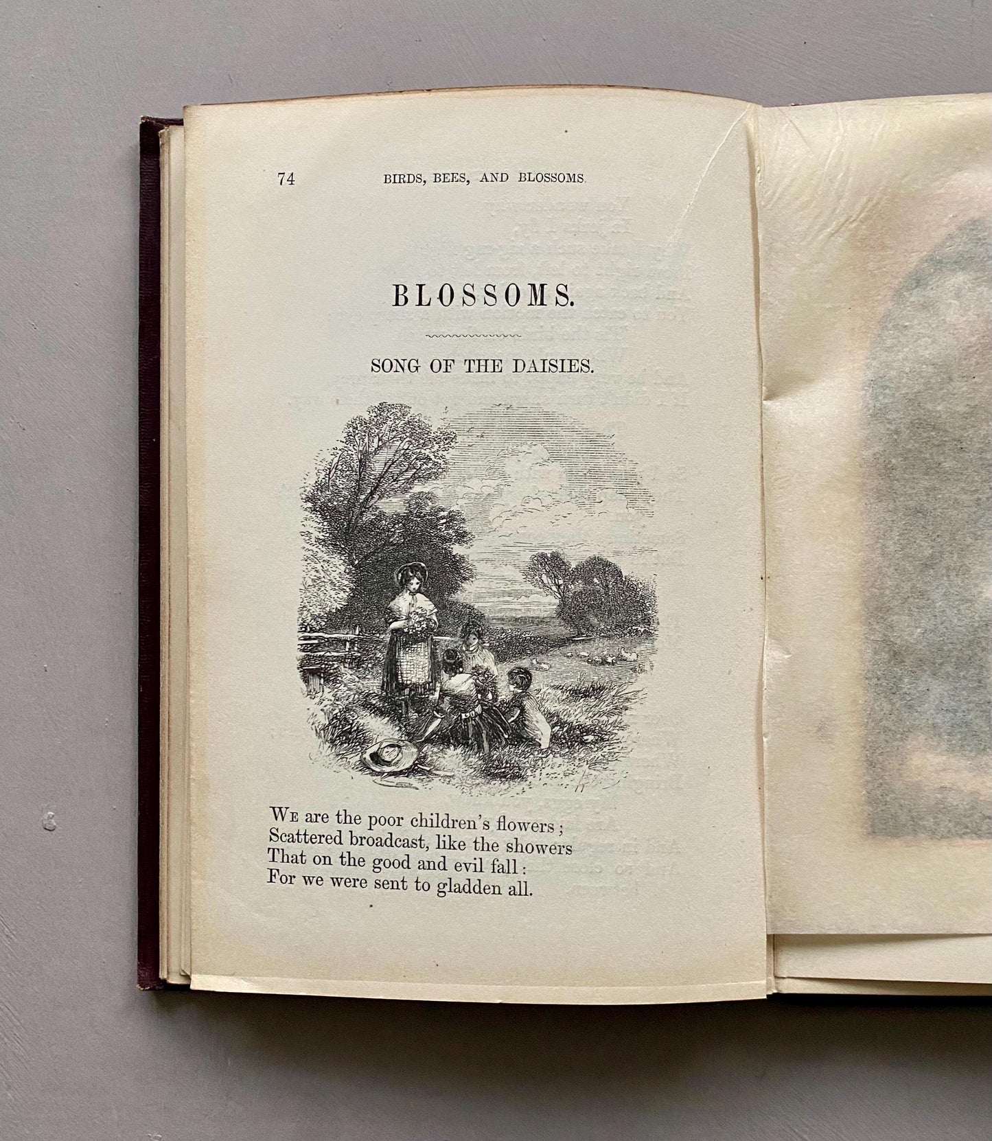 Birds, Bees, and Blossoms. Original Poems For Children. J & C Black. 1858.