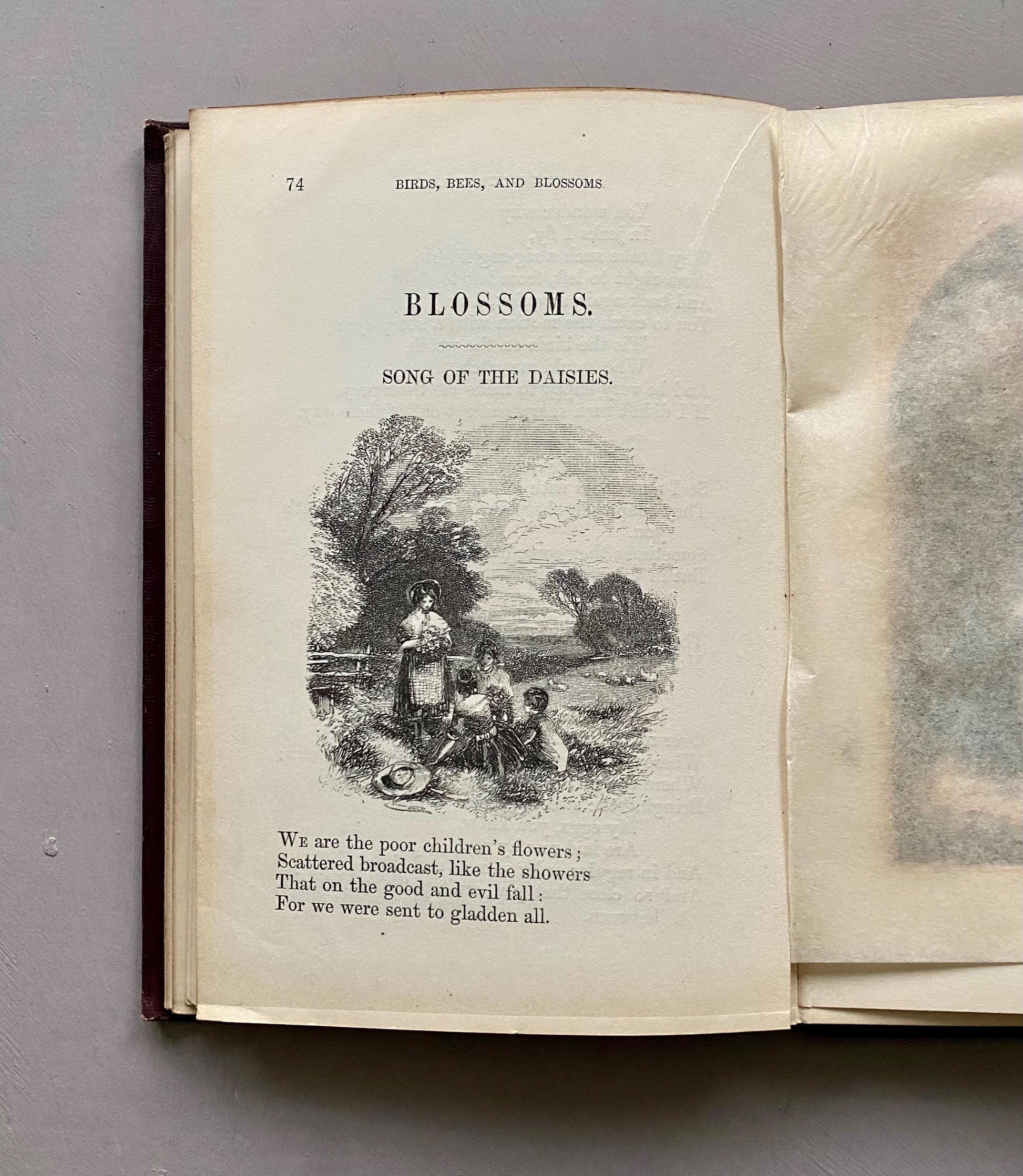 Birds, Bees, and Blossoms. Original Poems For Children. J & C Black. 1858.