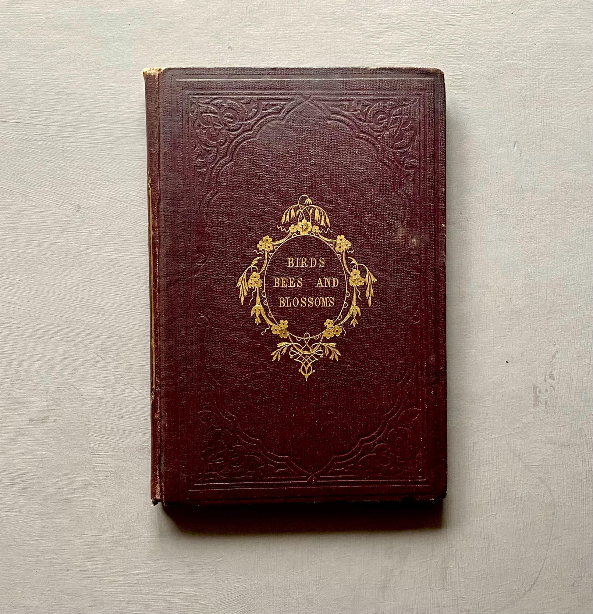 Birds, Bees, and Blossoms. Original Poems For Children. J & C Black. 1858.