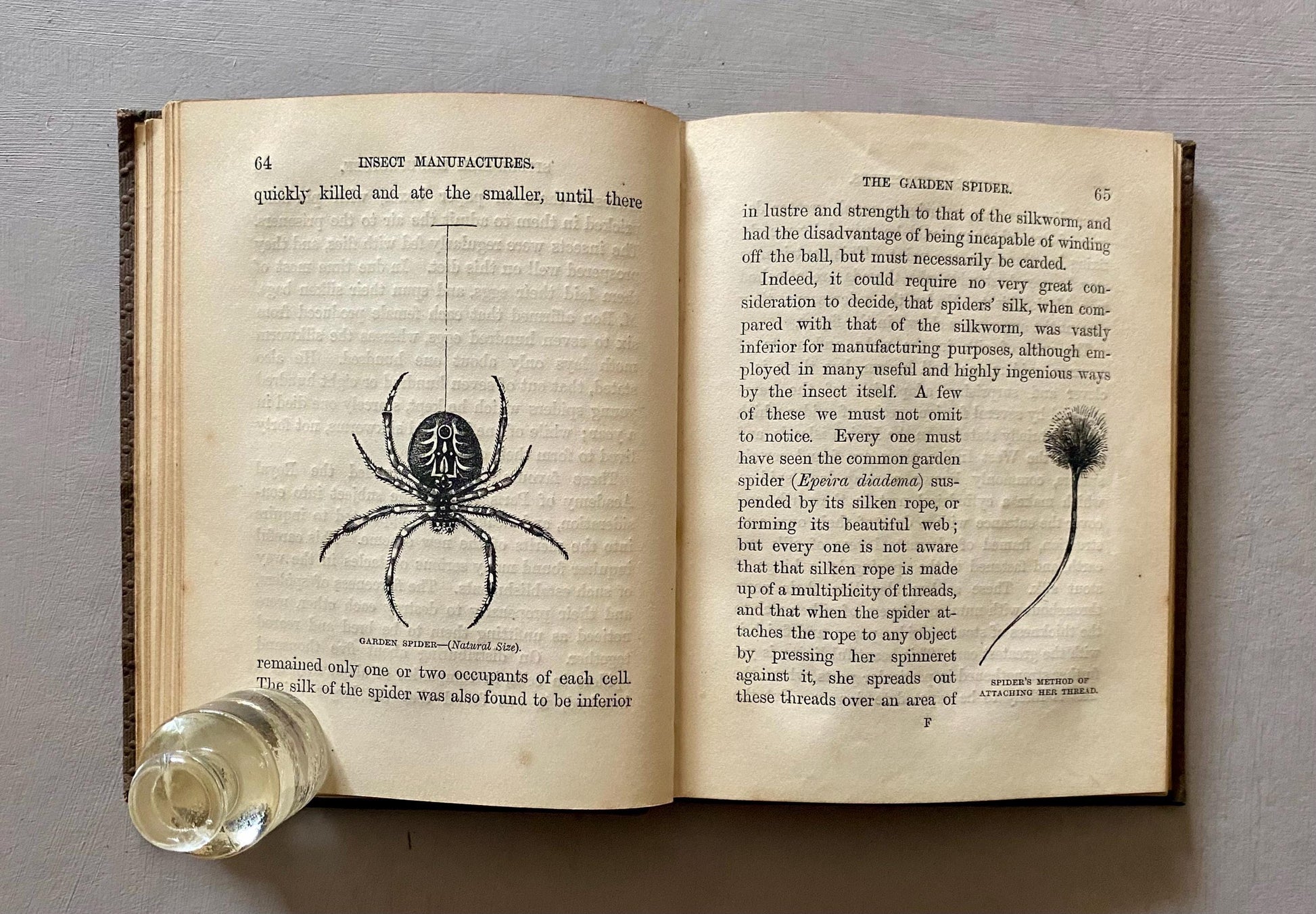 Insect Manufactures. Published by The Society For Promoting Christian Knowledge in the 1800s.