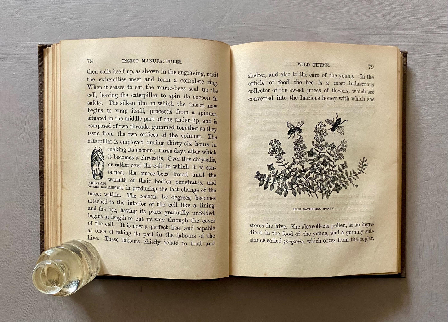 Insect Manufactures. Published by The Society For Promoting Christian Knowledge in the 1800s.