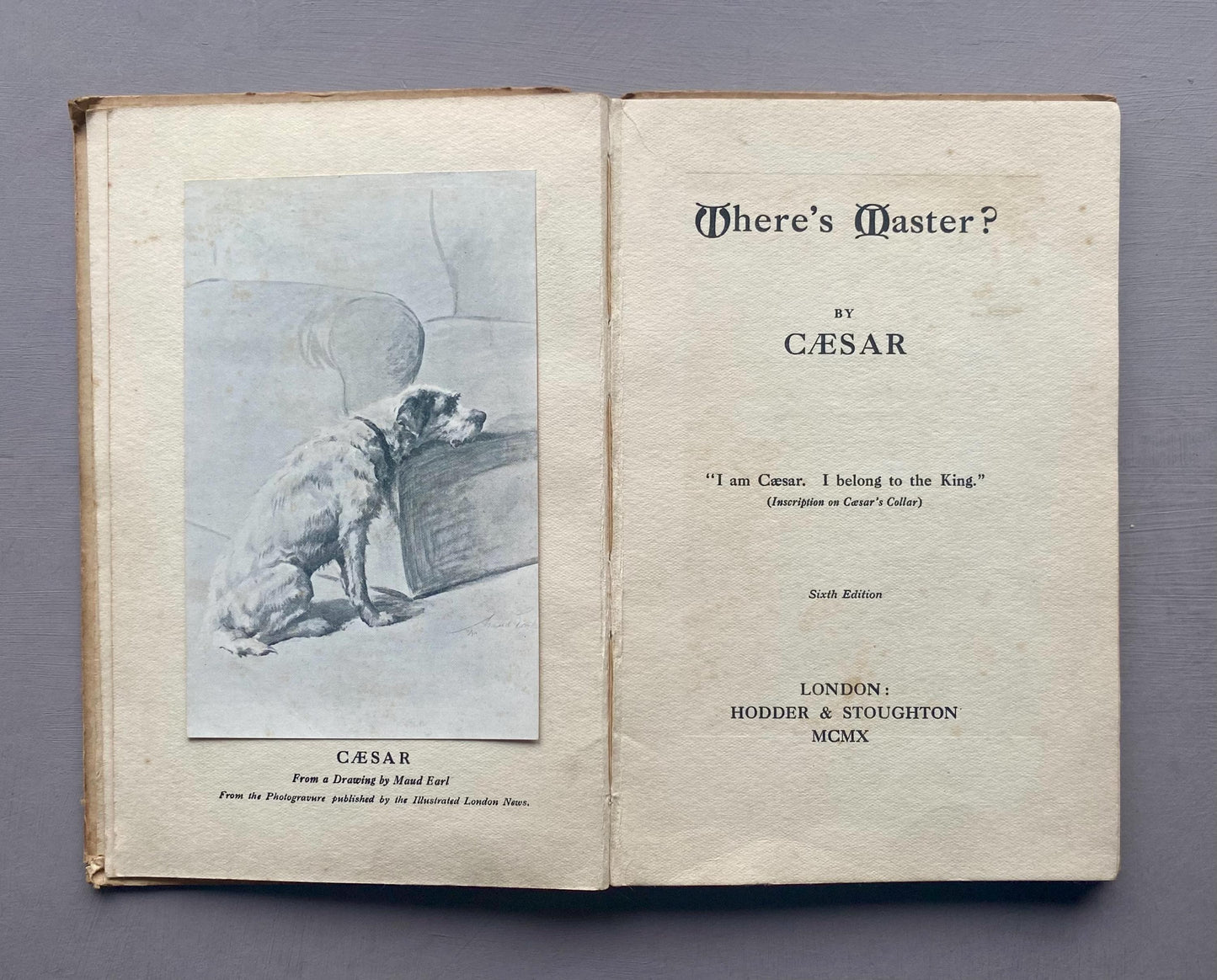 Where's Master? By Caesar The King's Dog. Published by Hodder & Stoughton in 1910.