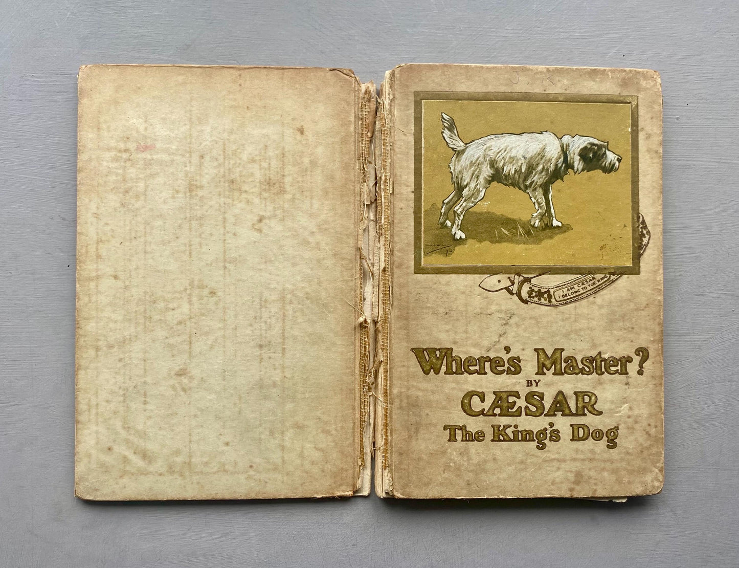 Where's Master? By Caesar The King's Dog. Published by Hodder & Stoughton in 1910.