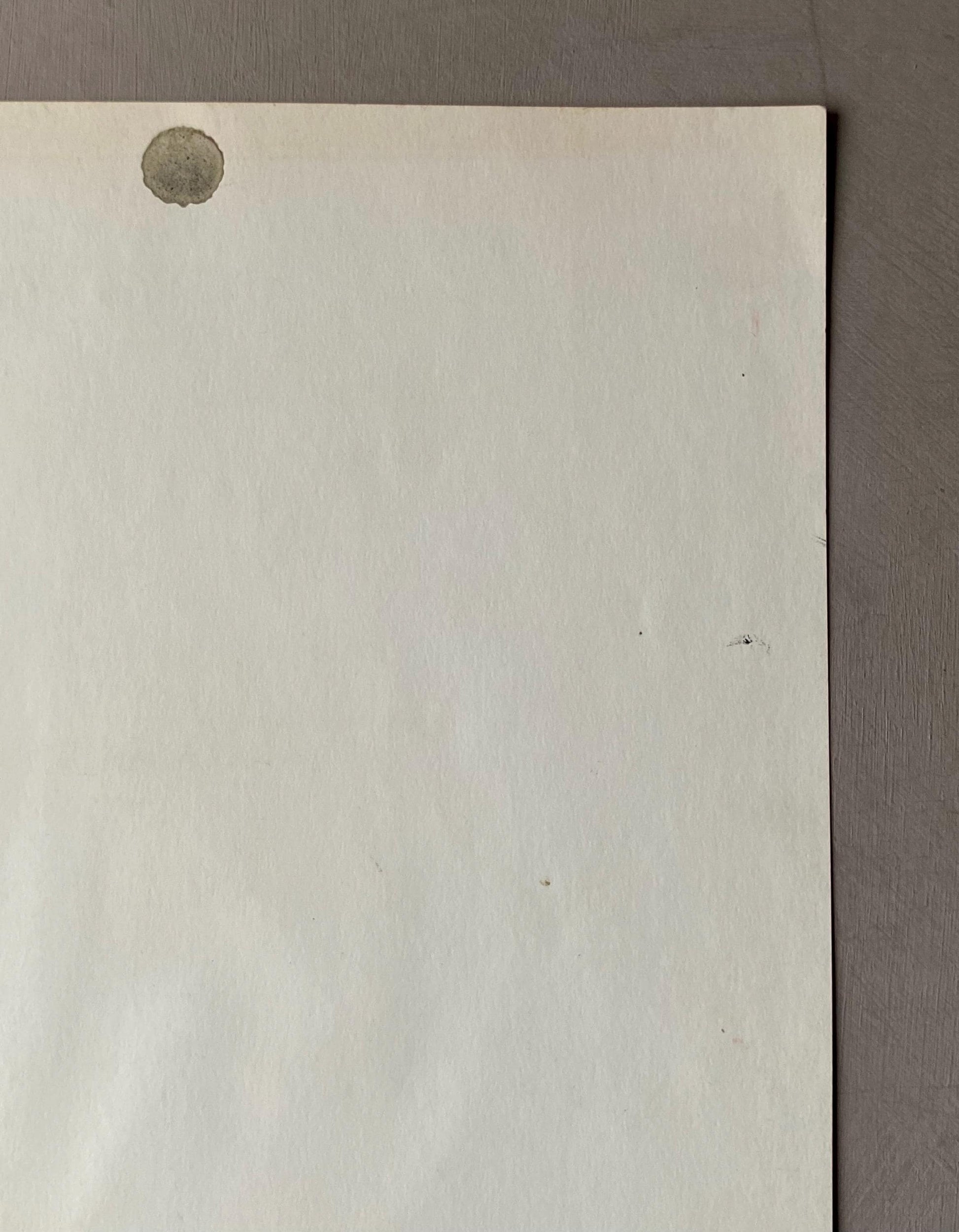 A Ink Drawing by Philippe Bérard. Created in Paris, France in 1976. Size: 50 x 33 cms.