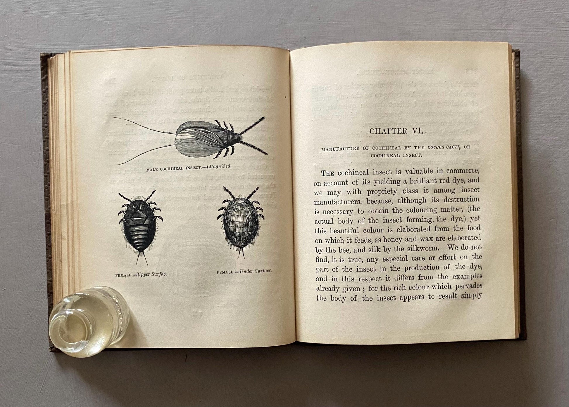 Insect Manufactures. Published by The Society For Promoting Christian Knowledge in the 1800s.