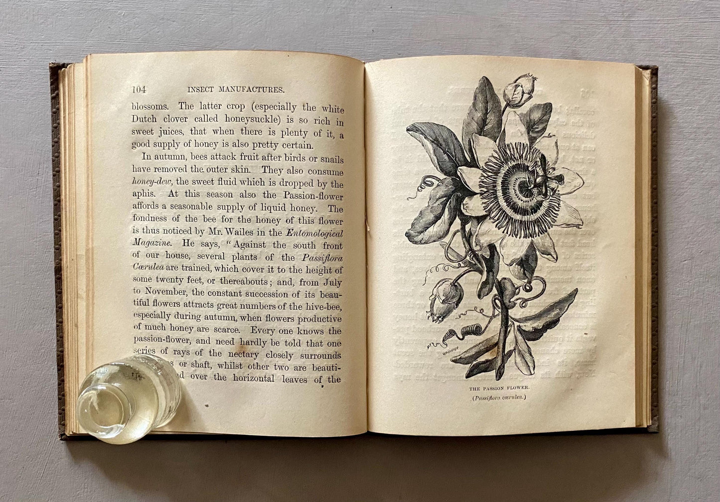 Insect Manufactures. Published by The Society For Promoting Christian Knowledge in the 1800s.