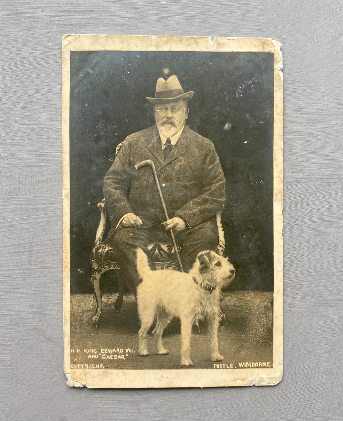 Where's Master? By Caesar The King's Dog. Published by Hodder & Stoughton in 1910.