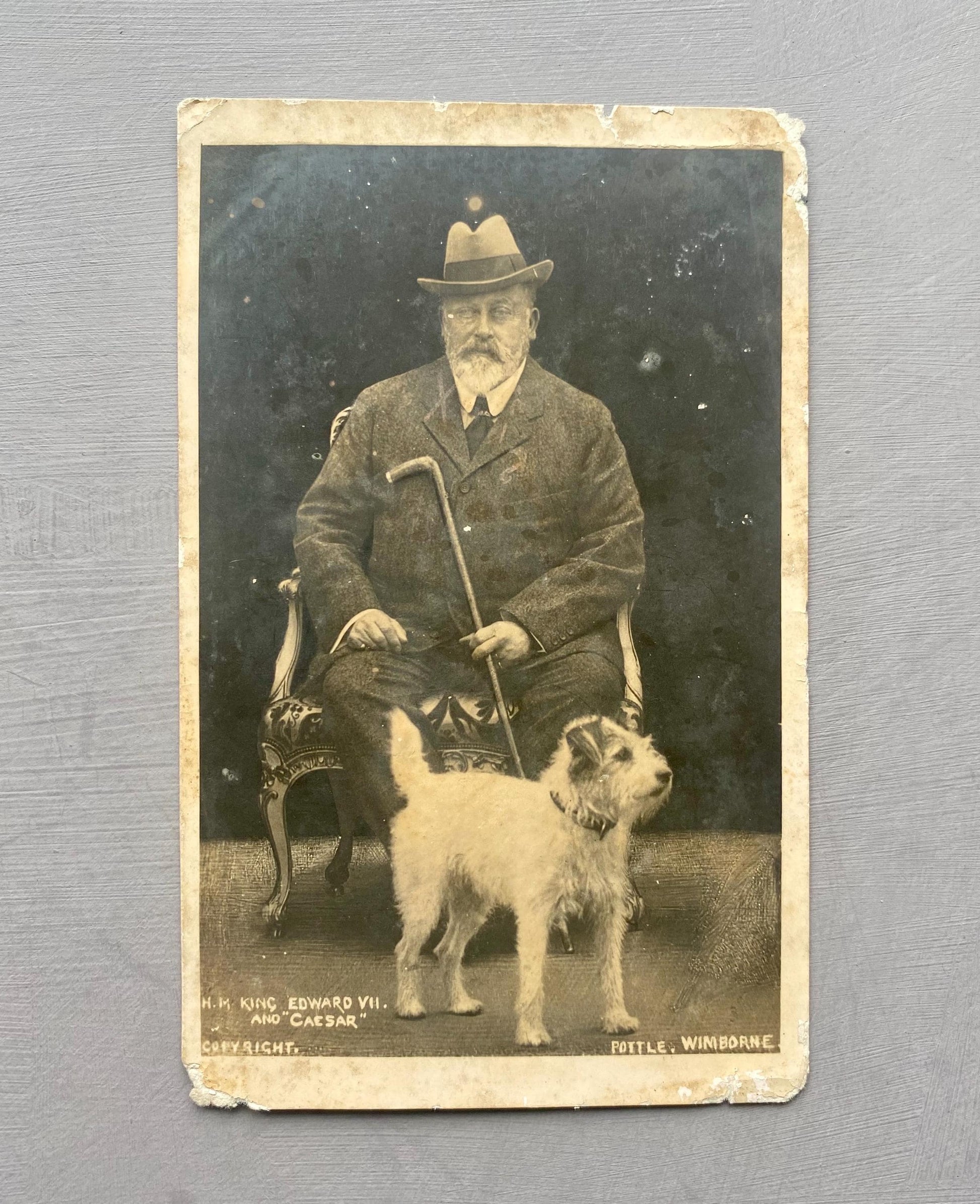 Where's Master? By Caesar The King's Dog. Published by Hodder & Stoughton in 1910.