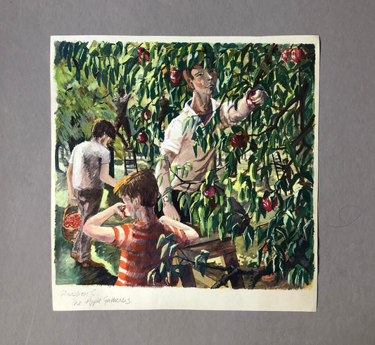 An Original Artwork Entitled The Apple Gatherers. An Examination Piece. Gouache. Unsigned. Likely 1960’s Size: 32.5 x 31.5 cms.