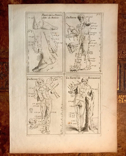 An Original Engraving from the ‘Nouvelle Methode Pour Apprendre a Dessiner Sans Maitre”. French. 1740. Size 29 x23 cms