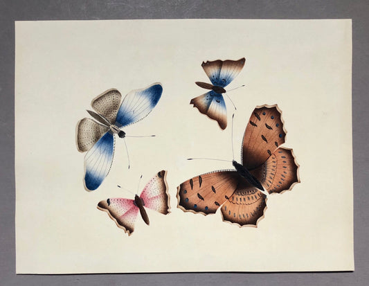 Butterflies. An Original Georgian Watercolour. Size: 16 x 21.5 cms.
